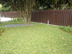 Raffles Park (D11), Detached #552081381